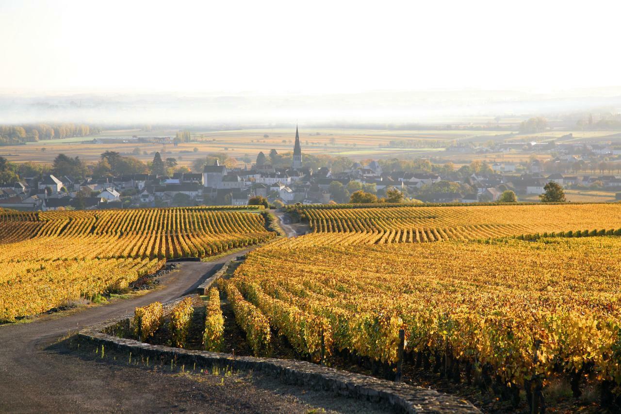 Clos Saint Jacques - Maison D'Hotes Bed & Breakfast Meursault Exterior foto